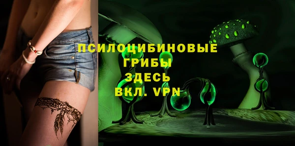 дмт Михайлов