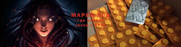 тгк Михайловск