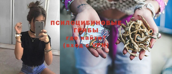 дмт Михайлов