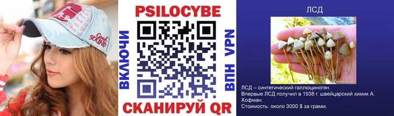 Псилоцибиновые грибы Magic Shrooms продажа наркотиков Талдом